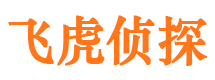 乐清侦探公司